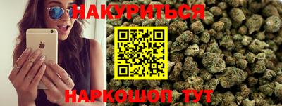 шишки Будённовск