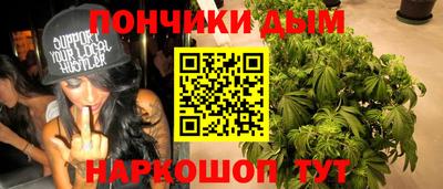 шишки Будённовск