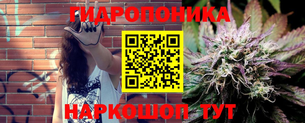 Шишки марихуана марихуана Дзержинский